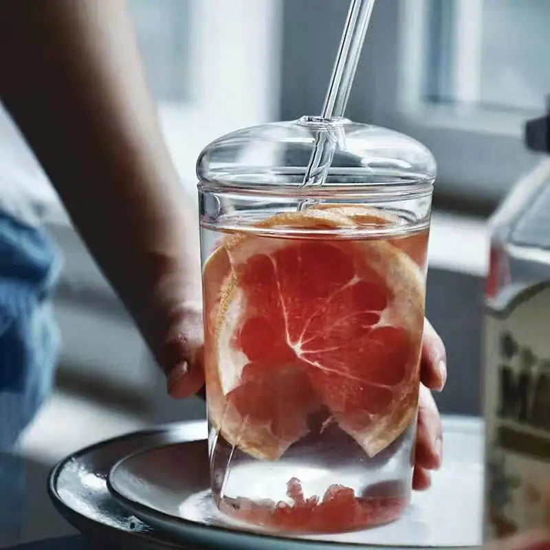 450ML Glass Cup with Lid and Straw Transparent Drinking Glasses