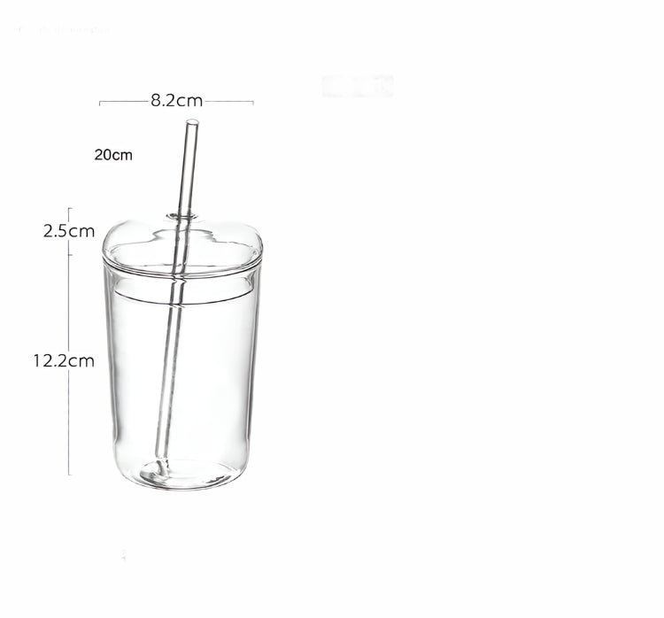 450ML Glass Cup with Lid and Straw Transparent Drinking Glasses